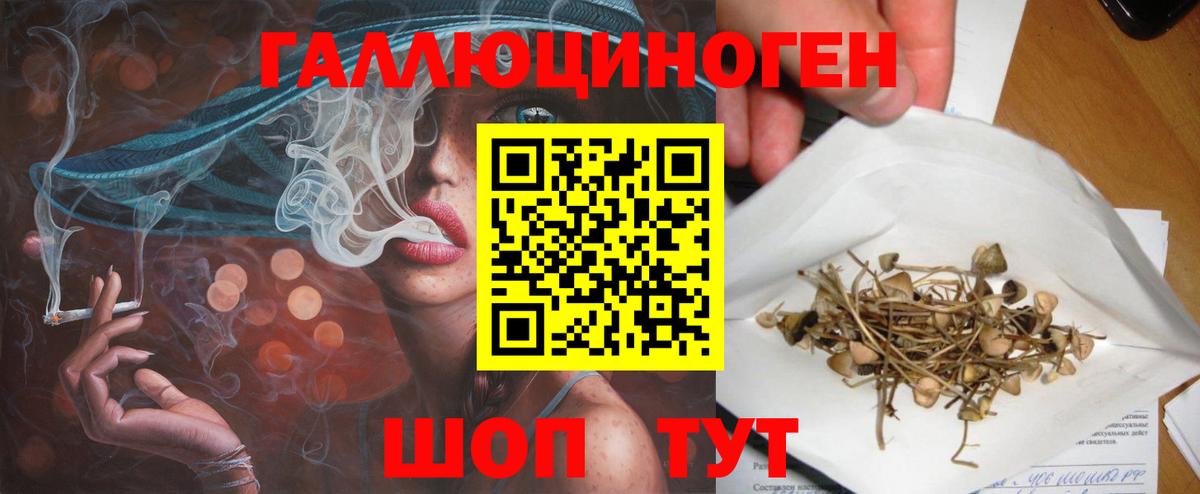 Галлюциногенные грибы Psilocybine cubensis  где продают наркотики  Углич  Вход с VPN  Псилоцибиновые грибы MAGIC MUSHROOMS 